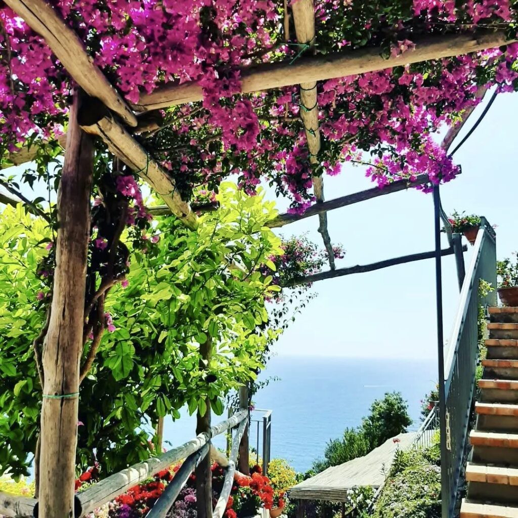 Hoa giấy rực rỡ bên bờ biển Amalfi.