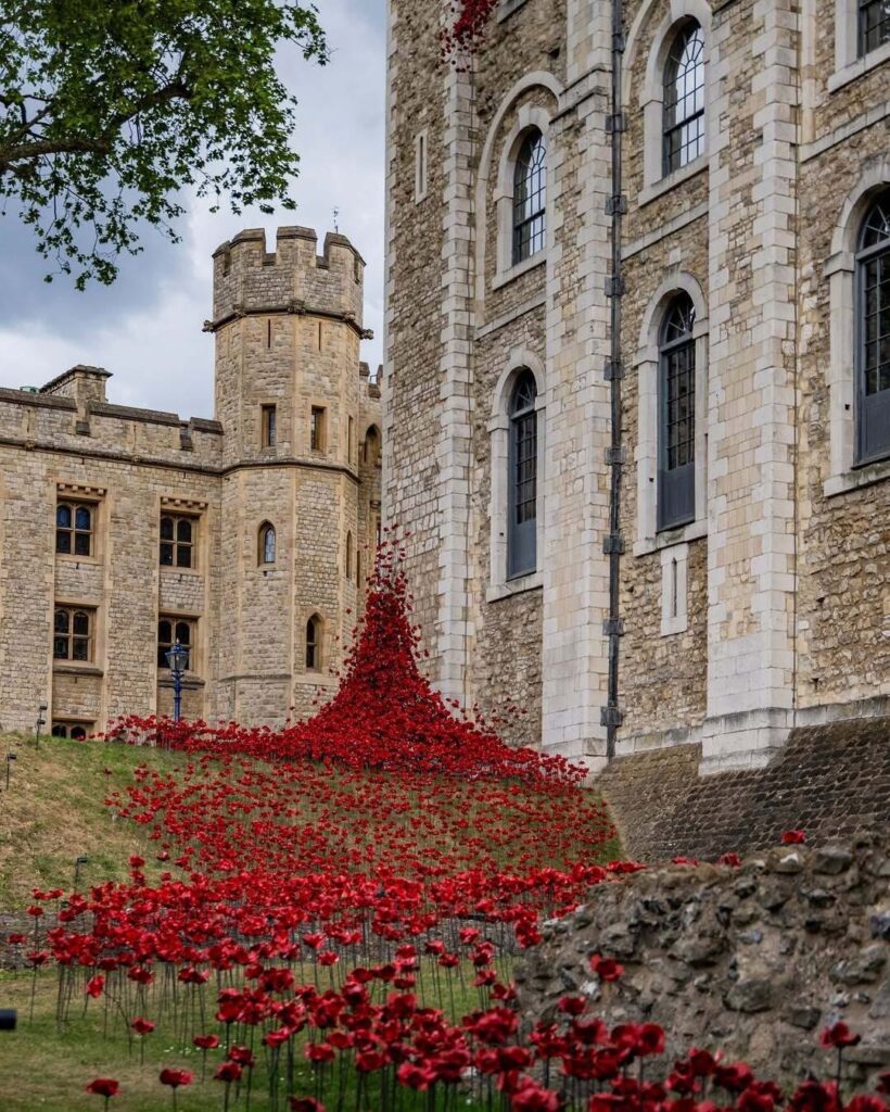 Khung cảnh hoa anh túc rực rỡ tại Tower of London trong dịp Remembrance Sunday