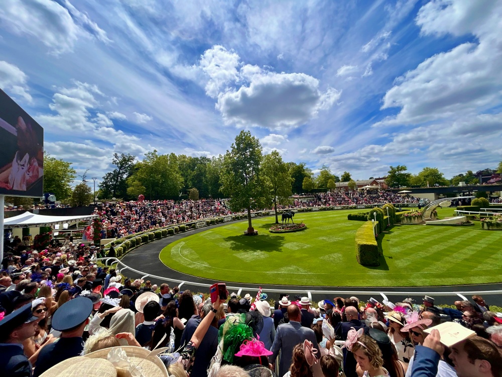 Royal Ascot – sự kiện đua ngựa Hoàng gia danh giá của nước Anh