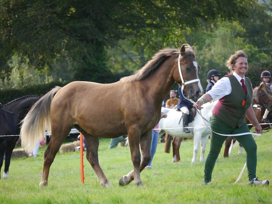 Tinh hoa Anh Quốc - Đua ngựa