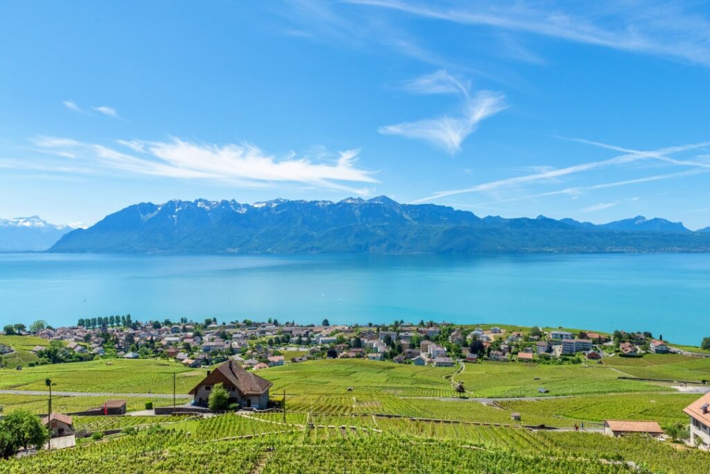 Montreux Thuỵ Sĩ - cảnh vườn nho Lavaux nổi tiếng của UNESCO
