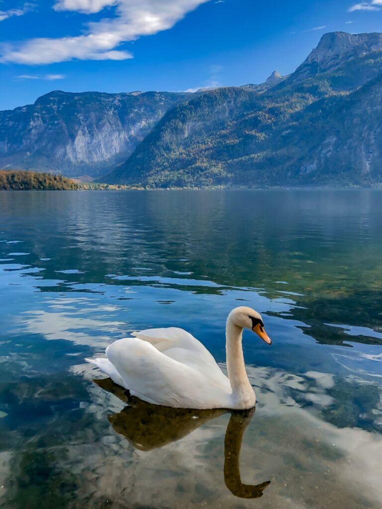 vẻ đẹp Hallstatt - Áo