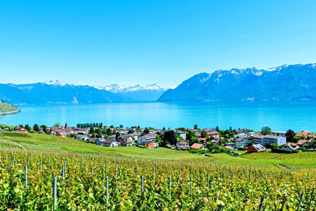 Vườn nho Lavaux nhìn ra hồ Geneva, gần Montreux