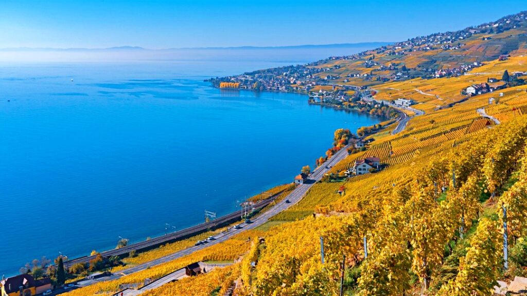 Cảnh tuyệt đẹp của vườn nho bậc thang tại Lavaux mùa thu nhìn từ Montreux