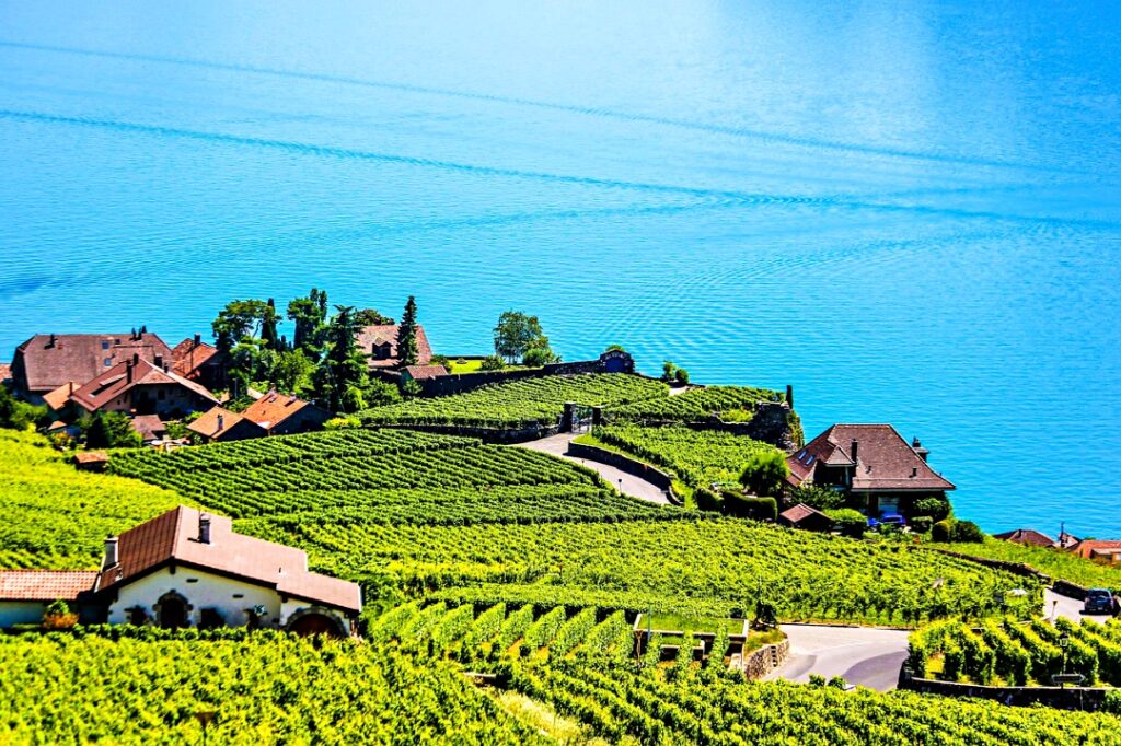 Vườn nho bậc thang Lavaux mùa thu nhìn từ Montreux