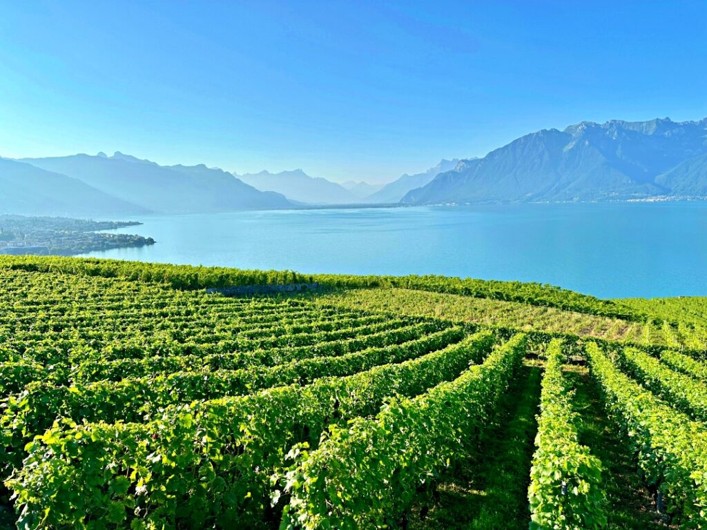 Du lịch Montreux - vườn nho Lavaux và hồ Geneva