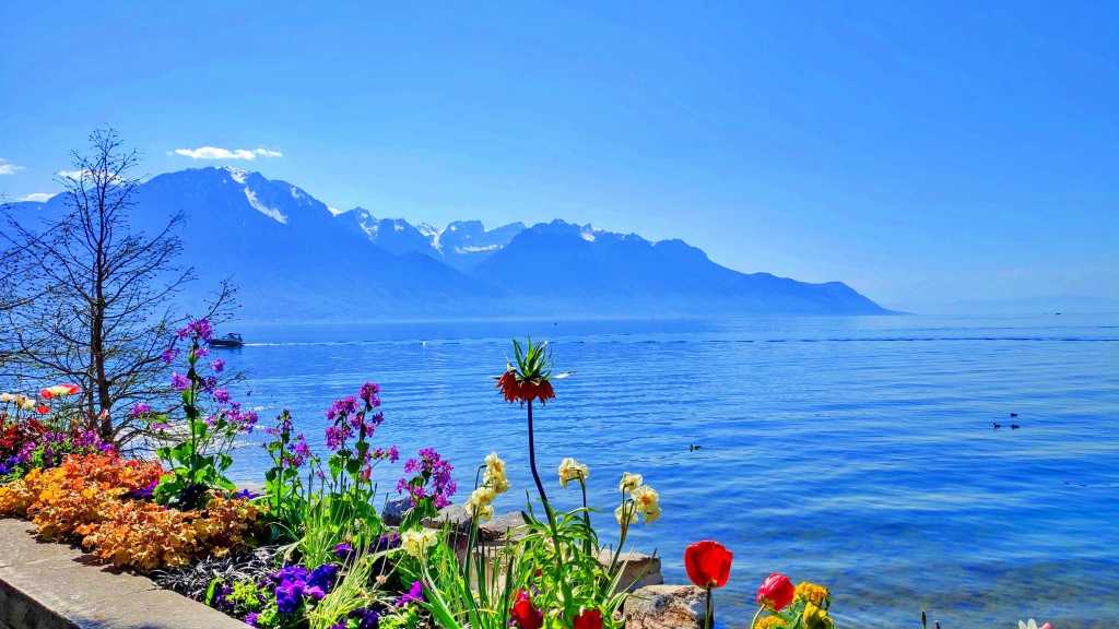 Hoa mùa hè rực rỡ dọc đại lộ Promenade Montreux