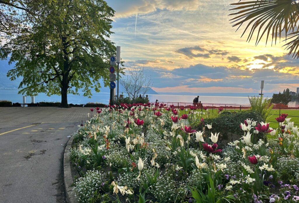 Con đường ven hồ Montreux rợp bóng hoa và cây xanh mùa hè