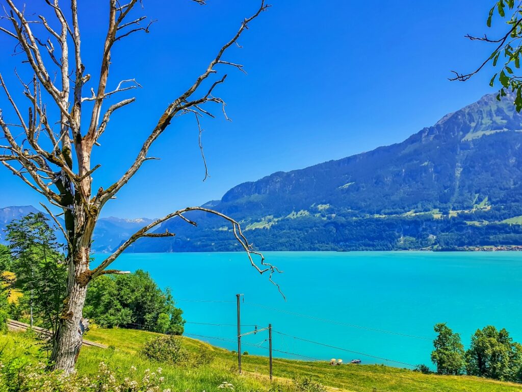 Hồ Thun với mặt nước xanh ngọc bích gần Interlaken - GoldenPass Express Thụy Sĩ