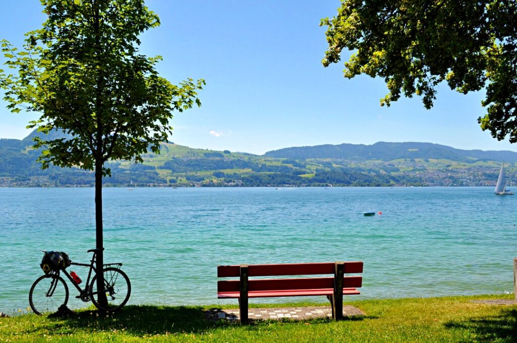 Cảnh hồ Zurich mùa hè lấp lánh bên cạnh thảm cỏ xanh ngắt