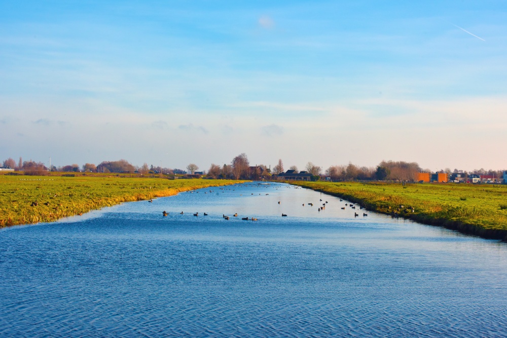 Cảnh dọc bên đường trên tàu đến Amsterdam Hà Lan