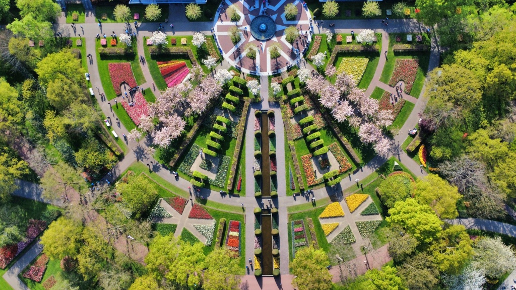 Keukenhof garden, Netherland