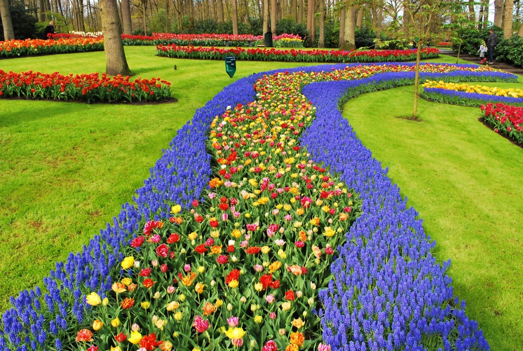 Keukenhof garden