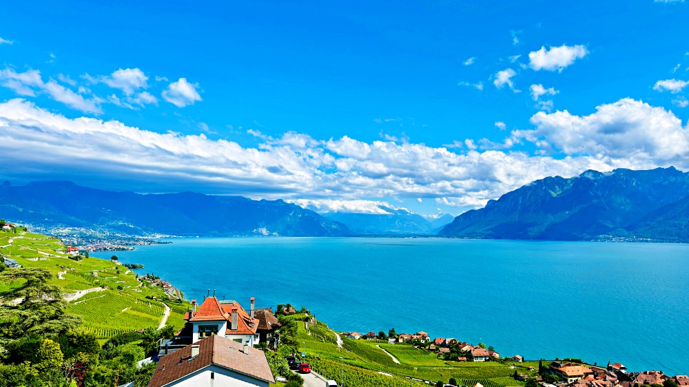 Cảnh vườn nho bên cảnh hồ Geneve trong xanh lấp lánh tại thành phố Montreux
