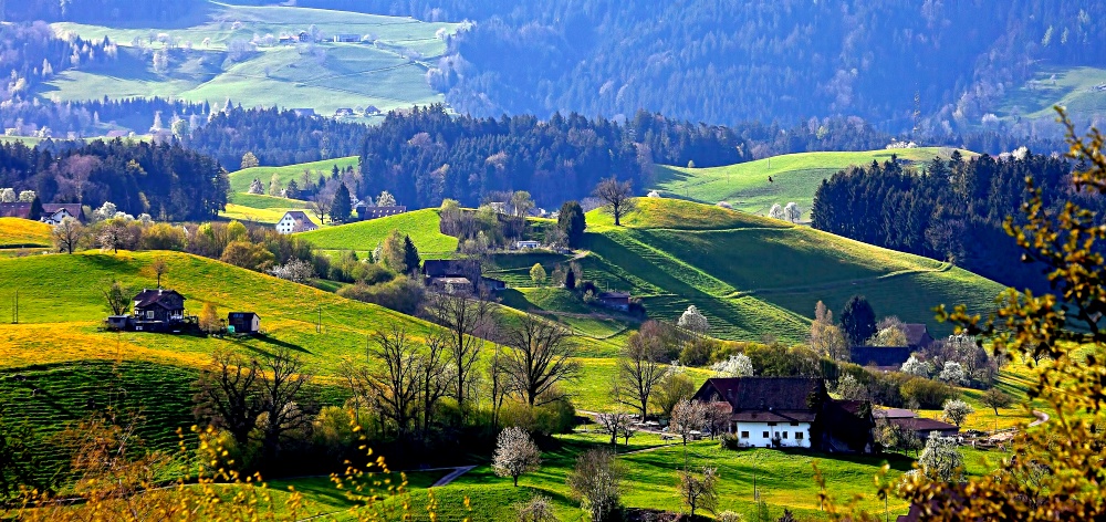 Cảnh đẹp Thuỵ Sĩ nhưng postcard - tàu ngắm cảnh Thuỵ Sĩ