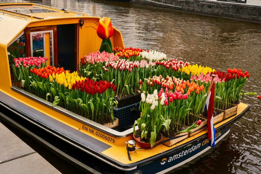 Bloemenmarkt Amsterdam Hà Lan – chợ hoa nổi trên kênh đào độc đáo, rực rỡ sắc tulip suốt bốn mùa.